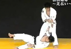 柔道视频,从视频中汲取的力量与智慧