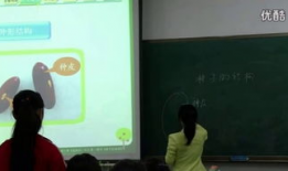 观察种子的结构实验视频,实验视频揭示种子结构全解析